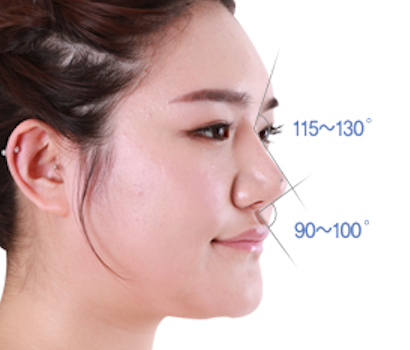 이상적인 코 각도와 비율